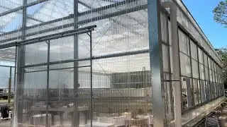 New Greenhouse at Gulf Specimen Lab Shows How Algae Can Help Clean Water