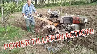 Plowing the Garden with a Tiller | Soil Preparation for a Healthy Harvest.🚜 #farmtime 