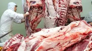 How to make Korean beef (Hanwoo) grilled meat, popular in Korea