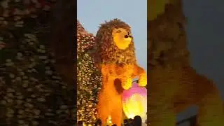 subscribe#Likes #sabarmati Riverfront #Amdabad International flower show 2026