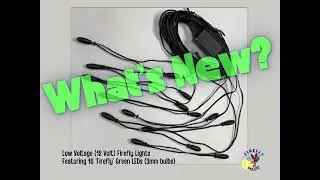 NEW Low Voltage Firefly Lights - Firefly Magic&reg; Low Voltage 16 Green 3mm LEDs