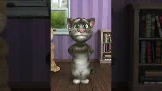 Talking Tom 2 