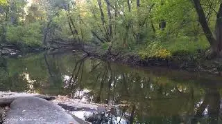 River Sounds White Noise - Relaxing Nature Video - Relax Sleep Sound