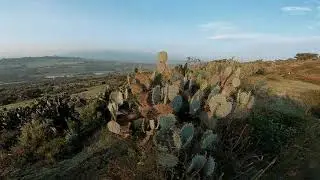La Goleta!de soyaniquilpan