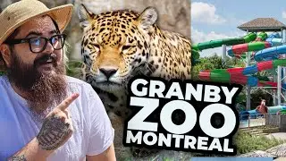 A Day Trip Montreal Granby Zoo Guide ! ( Waterpark, Zoo, Amusement Park )