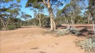 #17 Yerdani Well Free Camp WA