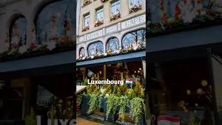 One day tour of Luxembourg City Next to Paris Small country of Europe #travelvlog #travel #vlog #fun