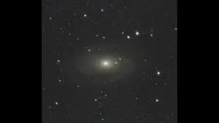 Astrophotography : Bode's Galaxy M81