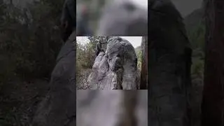 Раскрывая тайны ледникового периода: обнаружены наскальные рисунки животных