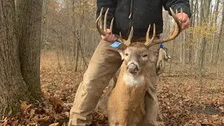 The Art of Trackng Wounded Deer 1