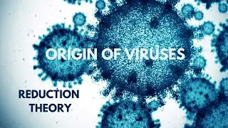 The Mysterious Origin of Viruses - Reduction Theory