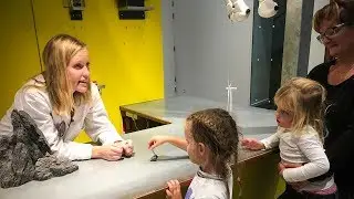 Demonstration: Fra magnetisme til havvindm&oslash;ller