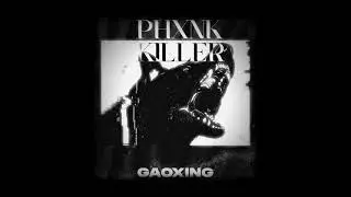 GAOXING - PHXNK KILLER  [Official Viualizer]