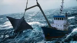 C&oacute;mo se PESCA la MANTARRAYA m&aacute;s GRANDE del MUNDO? DOCUMENTAL en ALTAMAR