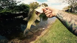Finesse fishing a south Florida &ldquo;cold front&rdquo;