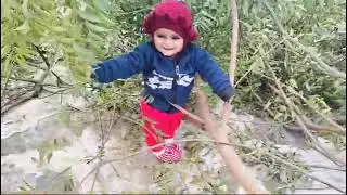 लड्डू पेड़ पर चढ़ गई👍❤️❤️❤️🥰🥰🙏🙏👌👌
