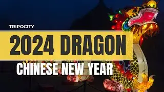 Year of the Dragon 2024: Chinese New Year 2024