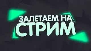 STEWIE || СТРИМ ПО ИГРАМ: Papers Please, Driver - San Francisco,  im hate this game, NFC, CS 1.6