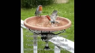 Spa Bird Bath Plastic Bowl