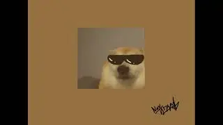 Nav Dogzan - Photosynthesis