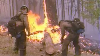 Arizona Wallow Wildfire 2011