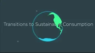 Transitions to sustainable consumption