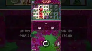 Big win on sakura fortune betting high 2022 july