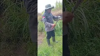 petualangan alam desa gunungrejo