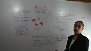 Stellar Consensus Protocol for tokenization