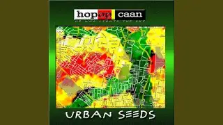 URBAN VIOLENCE