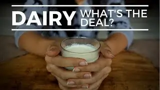 Is Dairy Good or Bad For You?  | 3 Dairy Myths Debunked