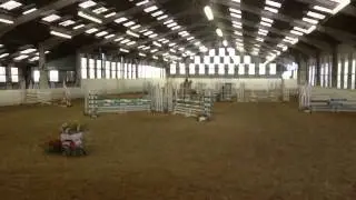 Perseus  SOLD to Lovely home at Millfield School  -