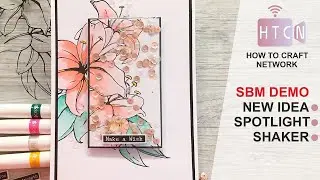WOW SHAKER CARD - SPOTLIGHT STAMPING - WATER COLOURING