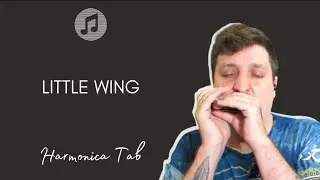🎶 Bruno Zolini - Little Wing (Harmonica Tab - Tablatura de Gaita)
