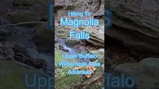 Magnolia Falls #hike #nature #ozarknationalforest #trekking #hikingadventures #shorts #wilderness