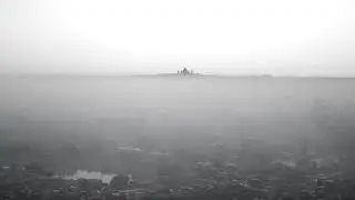 Tim Aleb  -  Flower in fog