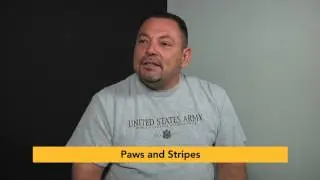 paws and stripes
