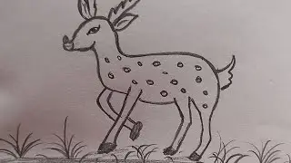 How to draw deer step by step 🦌🦌||very easy deer drawing||@Love_in_drawing