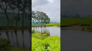 Charlie Film Location
