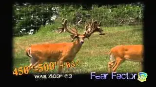 Fear Factor - A top breeder buck that eats Shock Effect