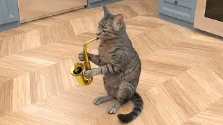 Cute Cat plays the saxophone and dances! Funny with a cat...Funny video
