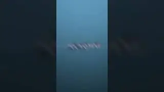 тип описание
