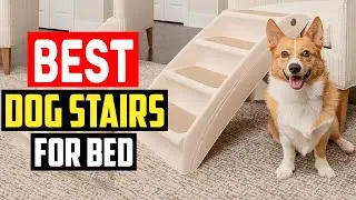 Top 5 Best Dog Stairs for Bed in 2025