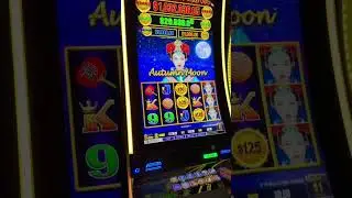 Day 6 Bonus or Bust! #slots #casino #vegas