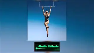 Flowers - Miley Cyrus (Radio Edit)