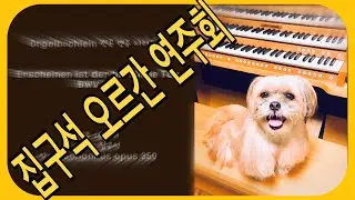 [숏핑거 집구석 오르간 연주회] Orgelb&uuml;chlein 전곡 연주 시리즈 6. BWV 630