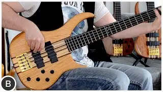 PEAVEY CIRRUS BASSES -- Red Oak & Tiger Eye