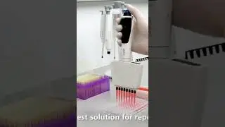 dpette+ electronic multi-channel micropipette