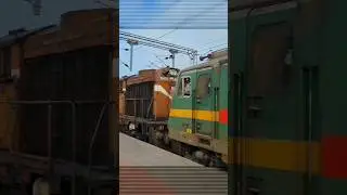 Wag 9 Pulling Alco 