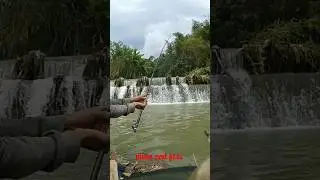 Mancing nutul